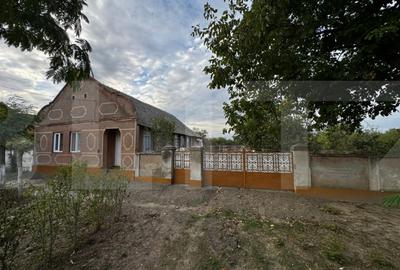 Casă cu 4 camere cu Teren 3892 Mp în Cebza - 3