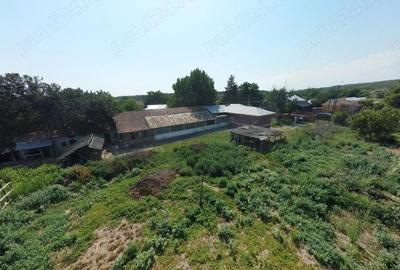 Casă cu 6 camere cu Teren 1950 Mp în Crivăț - 2