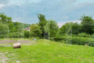 Casă cu 3 camere cu Teren 2000 Mp în Moreni - 1