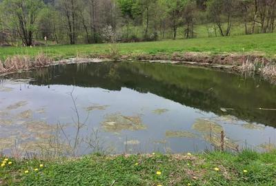 Spațiu comercial, în Bulz - 3