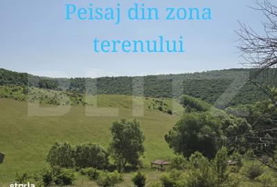 Spațiu comercial, în Sălicea - 3
