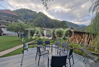 Spatiu de vanzare in Valea Macesului judel Valcea iesire la Lotru - 26