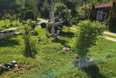 Casă cu Teren 2800 Mp în Toplița - 2