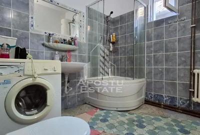 Casa de vanzare in Ineu formata din 2 cladiri - 18