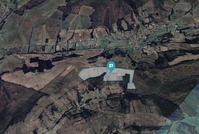 Teren agricol extravilan de 401200 mp, în Secaș - 3