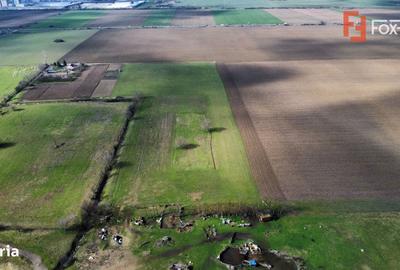 Teren de 20000 mp, în Pădureni - 3