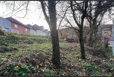 Teren intravilan 1001 mp în Reșița, aproape de centru - 3