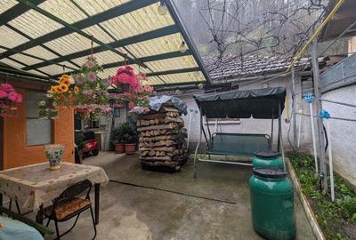 Casa cu gradina ?i livada in Nadrag - 1