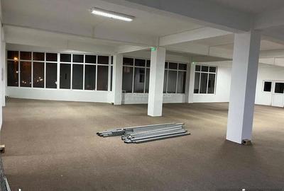 Resita,Spatii Open Space, 160 mp. 230 mp.300 mp. Central Govandari - 5