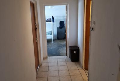 OBOR, COLENTINA, TEIUL DOAMNEI SECTIA 7 POLITIE - 7