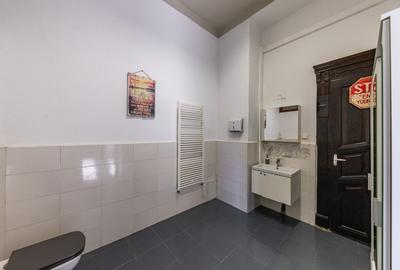 Apartament 196 mp, cu 5 camere, in zona istorica Iosefin - Timisoara - 32