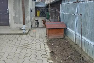 Casă în Central - 2