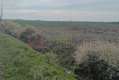 Spațiu comercial, în Săcălaz - 2