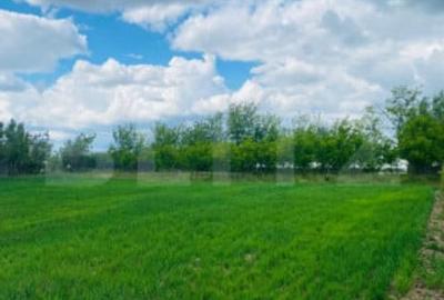 Casă cu 4 camere cu Teren 2753 Mp în Central - 4