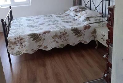 Casă cu 4 camere în Alimpești - 6