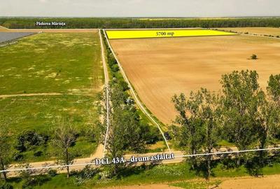 Teren de 5700 mp, în Răcari - 3