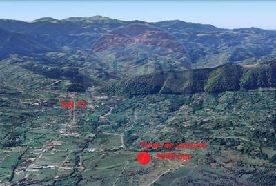 Teren Construcții intravilan de 4500 mp, în Tohanu Nou - 1