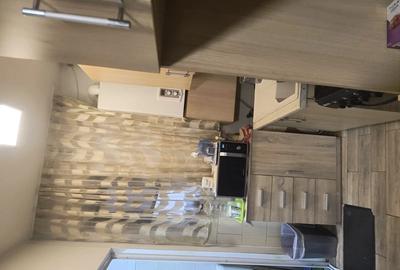 Garsoniera luminoasa, situata in zona Piata Traian - 1