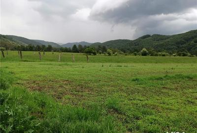 Teren de 2400 mp, în Central - 4