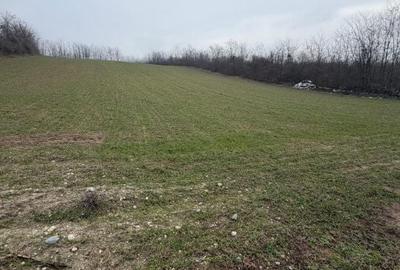 Teren de 6700 mp, în Central - 2