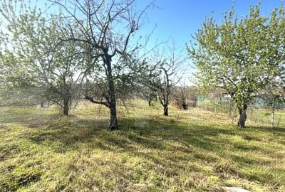 Teren de 1000 mp, în Paleu - 2