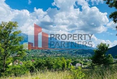 Vilă in Bran cu teren de 28.000 mp și priveliște spectaculoasa - 27