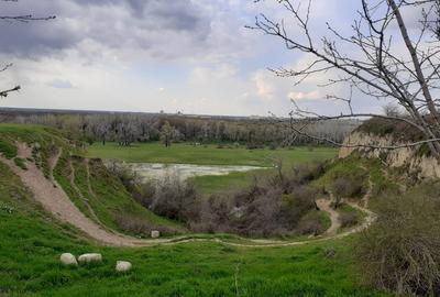 Teren Construcții intravilan de 3000 mp, în Ciulnița - 4