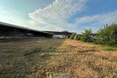 Teren 9.508 mp cu 2 fronturi stradale Sofronea, Arad - 6