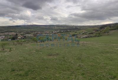 Comision 0! teren intravilan 5500mp, utilitati,  zona, strazii Veseliei Borhanci - 5