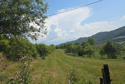 Teren de 3000 mp, în Exterior Vest - 1