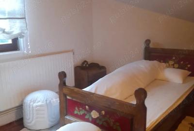 Casă cu 13 camere cu Teren 5000 Mp în Măguri - 4