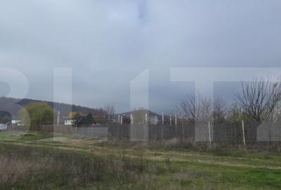 Teren intravilan de 2.000 mp, front 18 metri, Leamna de Jos - 2