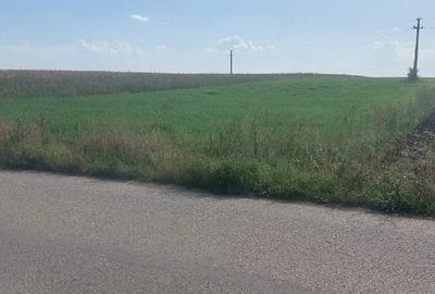 Teren de 5800 mp, în Gligorești