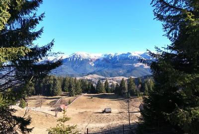 Priveliste minunata spre Bugeci, Magura,Piatra Craiului ... - 8