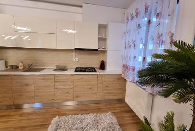 Apartament  2 camere Sinaia - 6