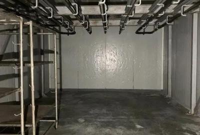 Spațiu comercial, de 500 mp, în Buziaș - 8