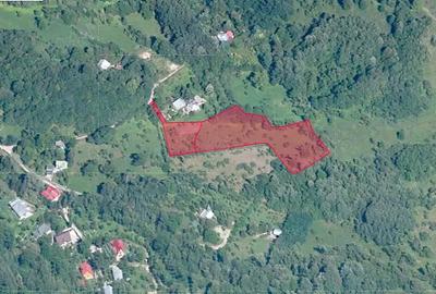 Teren de 6376 mp, în Valea Târsei - 5
