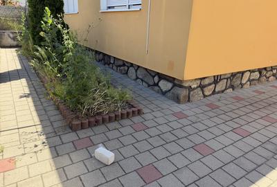 Duplex cu 3 camere cu Teren 225 Mp în Calea Poplăcii - 3