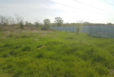 Teren 1.598mp, deschidere dubla, cea mare de 70ml, strada Arinilor, Gheraiesti - 2