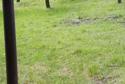 Teren extravilan  de vanzare | 4288 mp | in Gusterita - 6