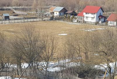 Teren de 10200mp,intravilan , cu deschidere la asfalt - 2