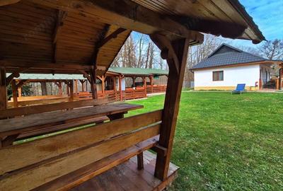 Casă cu 6 camere cu Teren 3500 Mp în Ocna Șugatag - 1