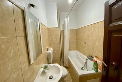 Apartament 2 camere, zona Cismigiu - 11