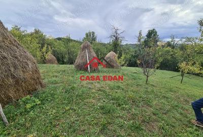 Casă în Șotrile - 9