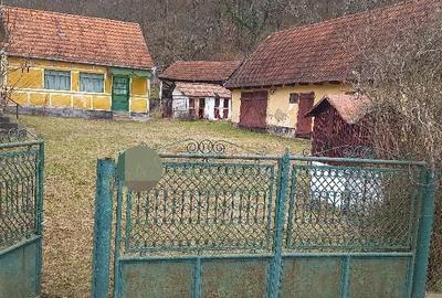 Casă cu Teren 6400 Mp în Zam - 3