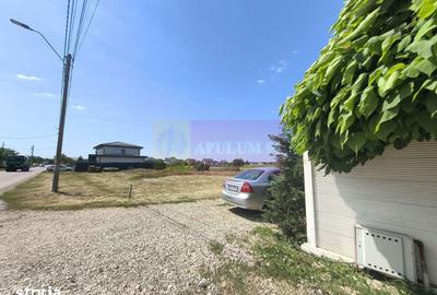 Teren de 1167 mp, în Cernica - 10