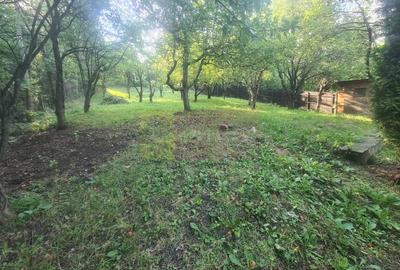 Casa de vanzare in Breaza - Zona Capul Campului - 46