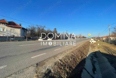 Casă cu Teren 998 Mp în Drăguțești - 1