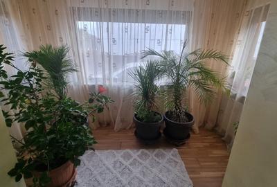 Casa, 200 mp, teren 1800 mp, Oras Bals Casa, 200 mp, teren 1800 mp, Oras Bals - 15