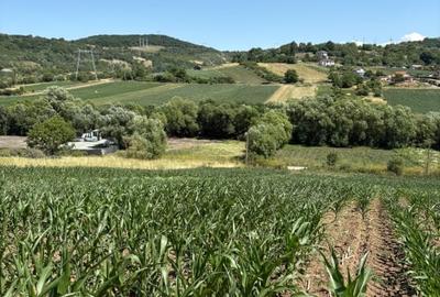 Teren intravilan de vanzare | 1000 mp | zona Gusterita - 2